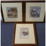 A pair of gilt-framed and glazed colour plates after Archibald Thorburn detailing Common Partridge,