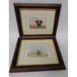 After DAVID SHEPHERD - two small coloured prints: African Elephant and Rhinoceros, each signed by