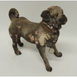 A 19th Century painted plaster model of a standing pug, 22cms high