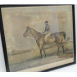 A 19th Century print of racehorse "Bilbery" 49cms x 54cms