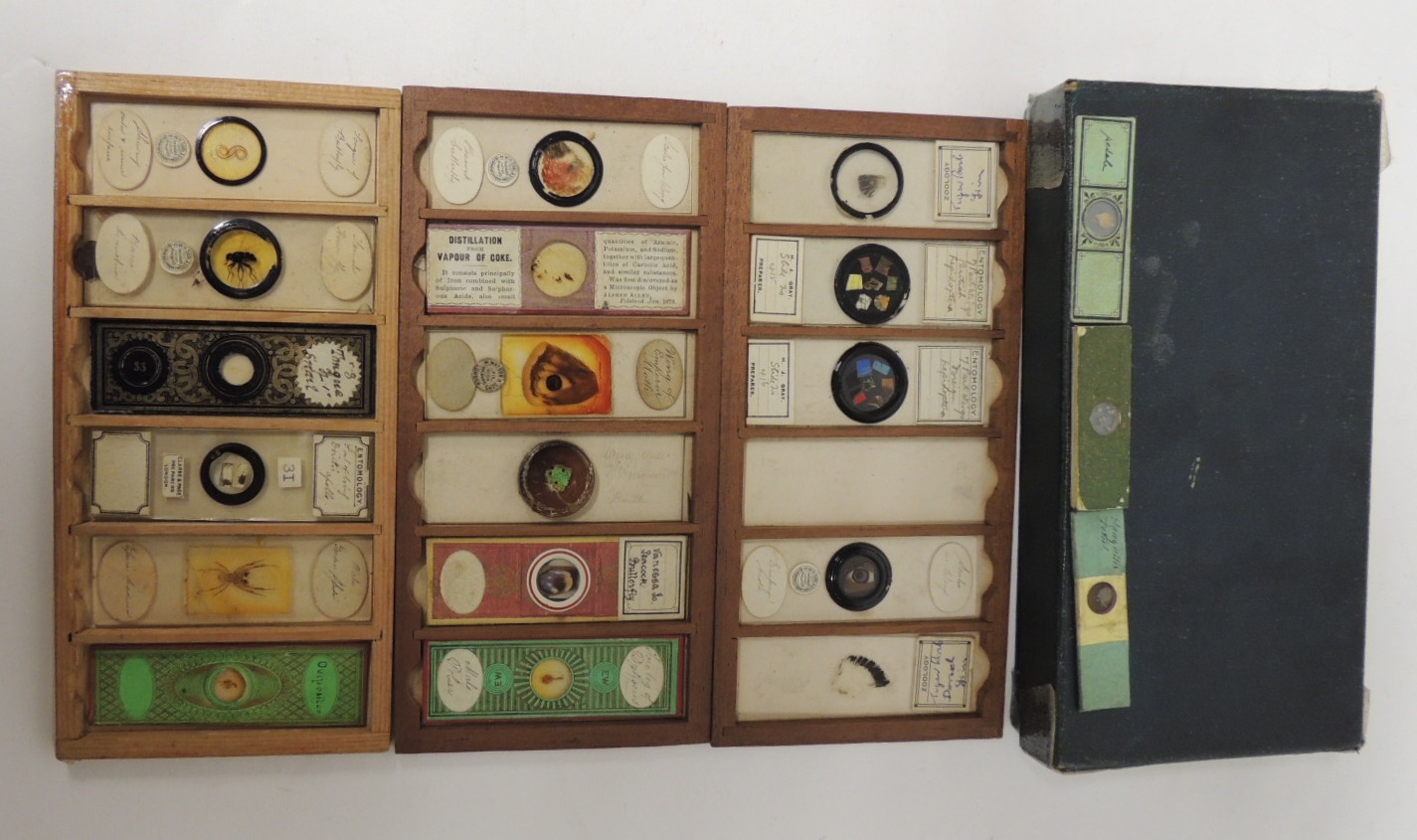 A collection of Victorian microscope slides, mainly entomology subjects; some with decorative