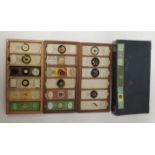 A collection of Victorian microscope slides, mainly entomology subjects; some with decorative