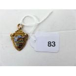 A 9ct gold and enamel shield runners medal 1923, weight approx 9.5g