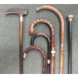 Six walking sticks some with silver tops/collars