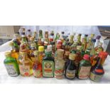 LARGE SELECTION OF MINIATURES INCLUDING RUM, GIN, BRANDY,