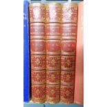 A GLOSSARY OF TERMS USED IN GRECIAN, ROMAN, ITALIAN AND GOTHIC ARCHITECTURE, IN 3 VOLUMES,