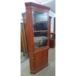 LATE 19TH CENTURY CORNER CABINET WITH ASTRAGAL GLAZED DOOR OVER PANEL DOOR