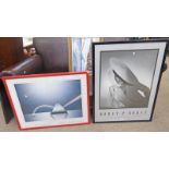 3 FRAMED PICTURES