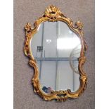 GILT FRAMED MIRROR WITH DECORATIVE FRAME