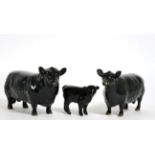 Beswick Cattle Comprising: Aberdeen Angus Bull, model No. 1562, Aberdeen Angus Cow, model No. 1563