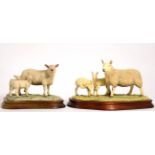 Border Fine Arts Sheep Models Comprising: 'Charolais Ewe and Lambs', model No. L121 by Ray Ayres,