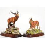 Border Fine Arts 'Red Stag' (Style Two), model No. 151 by David Walton, on wood base and 'Red Hind