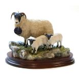 Border Fine Arts 'Blackie Tup', model No. B0354 by Ray Ayres, limited edition 307/1750, on wood