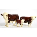 Beswick Cattle Comprising: Polled Hereford Bull (with ringed nose), model No. 2549A, Hereford Cow,