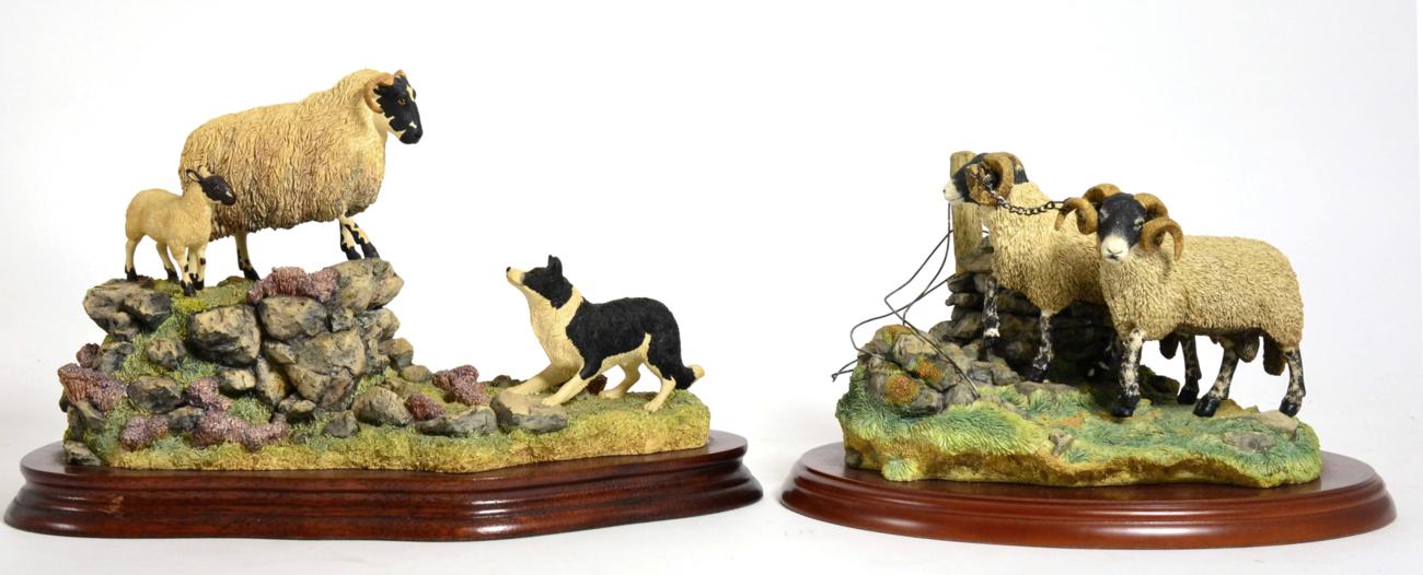 Border Fine Arts Sheep Models Comprising: 'Holding Her Ground' (Ewe, Lamb and Border Collie),