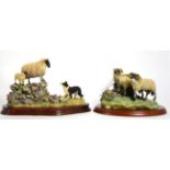 Border Fine Arts Sheep Models Comprising: 'Holding Her Ground' (Ewe, Lamb and Border Collie),