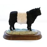 Border Fine Arts 'Galloway Bull - Belted', model No. L33 by Ray Ayres, limited edition 454/850, on