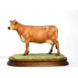 Border Fine Arts 'Jersey Cow' (Polled), model No. L110 by Ray Ayres, limited edition 510/1250, on