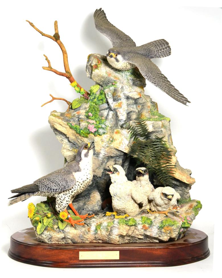 Border Fine Arts 'Call of the Falcon', (Peregrine Falcon and Chicks), model No. L162 by Ray Ayres,