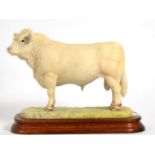 Border Fine Arts 'Charolais Bull' (Style One), model No. L112 by Ray Ayres, limited edition 1006/