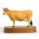 Royal Worcester Jersey Cow ''Bramley Zenora'', model No. RW3689 by Doris Lindner, on wooden plinth