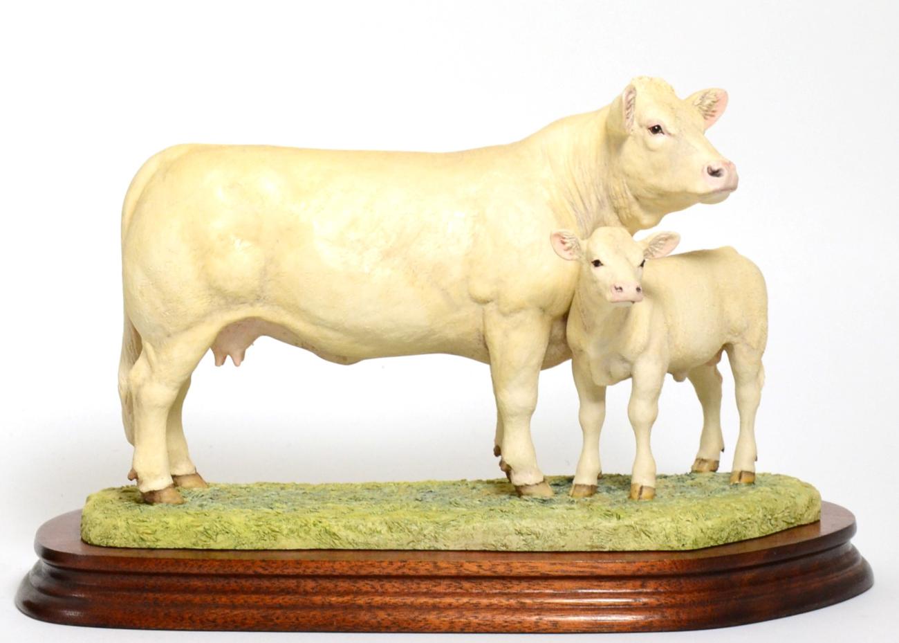 Border Fine Arts 'Charolais Cow and Calf' (Style One), model No. L137 by Ray Ayres, limited