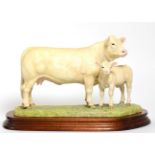 Border Fine Arts 'Charolais Cow and Calf' (Style One), model No. L137 by Ray Ayres, limited