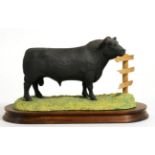 Border Fine Arts 'Aberdeen Angus Bull' (Style One), model No. L59 by Ray Ayres, limited edition