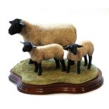 Border Fine Arts 'Suffolk Family Group' (Ram with Gimmer and Ewe Lambs), model No. B0197 by Ray