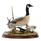 Border Fine Arts 'Canada Goose and Goslings' (Style Three), model No. B0882 by Jack Crewdson,