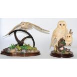 Border Fine Arts Owl Models Comprising: 'Barn Owl and Chick', model No. WB71, limited edition 174/