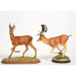 Border Fine Arts 'Fallow Buck' (Style One), model No. L73, limited edition 144/850 and 'Roe Buck (