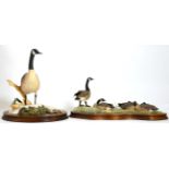 Border Fine Arts Goose Models Comprising: 'Canada Geese', model No. PS06 by Richard Roberts, limited