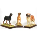 Border Fine Arts Dog Models Comprising: 'Rhodesian Ridgeback' (Standing, Style One), model No. L27