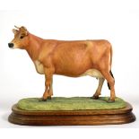 Border Fine Arts 'Jersey Cow' (Horned), model No. L111 by Ray Ayres, limited edition 501/1250, on