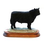 Border Fine Arts 'Galloway Bull', (Style One), model No. L33 by Ray Ayres, limited edition 404/
