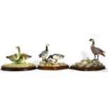 Border Fine Arts Goose Models Comprising: 'Barnacle Geese', model No. PS05 by Richard Roberts,