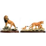 Border Fine Arts 'African Lion', model No. L105, limited edition 27/750 and 'African Lioness and