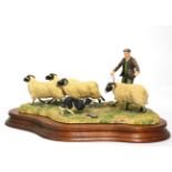 Border Fine Arts 'Shedding' (Shepherd, Collie and Sheep), model No. L113 by Ray Ayres, limited