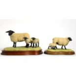 Border Fine Arts Sheep Models Comprising: 'Suffolk Ewe and Lambs' (Style One), model No. L87 by