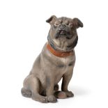 An Austrian Terracotta Figure of a Pug, circa 1900, naturalistically modelled and painted seated,