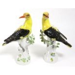 A Pair of Meissen Porcelain Figures of Golden Orioles, 20th century, naturalistically painted and