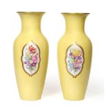 A Pair of Berlin Porcelain Baluster Vases, circa 1900, with flared necks, painted with sprays of