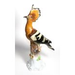 A Carl Thieme, Potschappel Figure of a Hoopoe, 20th century, naturalistically modelled and painted