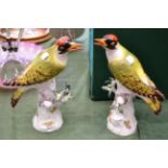 A Pair of Meissen Porcelain Figures of Woodpeckers, 20th century, naturalistically modelled and