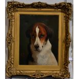 CR in the style of Edwin Landseer (late 19th century) Portrait of a hound, head and shoulders