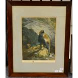 After Archibald Thorburn (1860-1935) Eagles' Nest Signed by the artist in ink, a colour