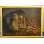 After Geza Vastagh (1866-1919) Hungarian Lion and lioness resting Oil on canvas, 53cm by 72.5cm