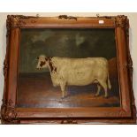 British School (19th century) Portrait of a prize heifer standing in a landscape Inscribed ''