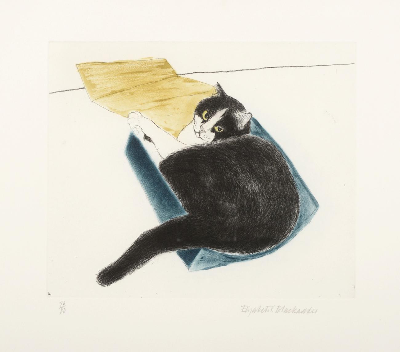 Dame Elizabeth Violet Blackadder DBE, RA, RSA (b.1931) Scottish ''Fred in a Box'' Signed and